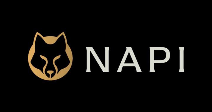 NAPI
