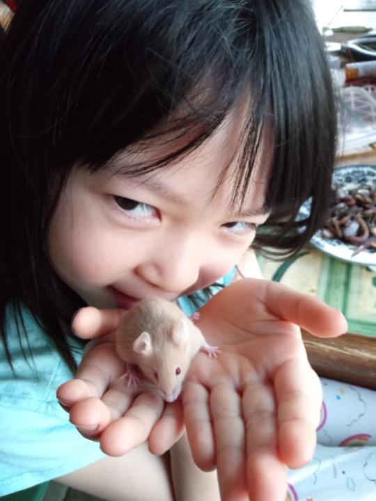 Si Zhang
