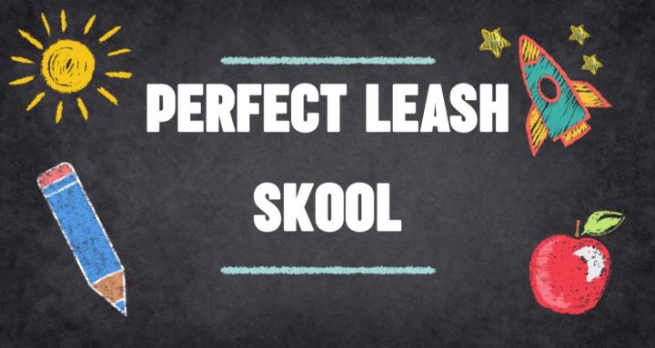 Free Your Leash Reactivity