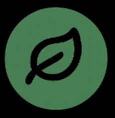 Zavian Amir