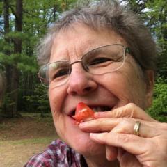 MaryEllen Rodda