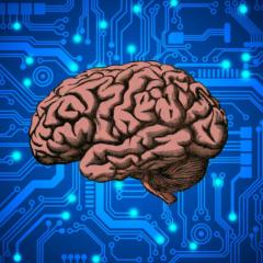 Adhd Systems