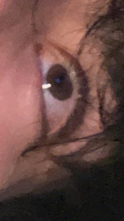 Sebastian Curtis Gonzalez Eder