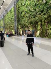 Mohamed Wael