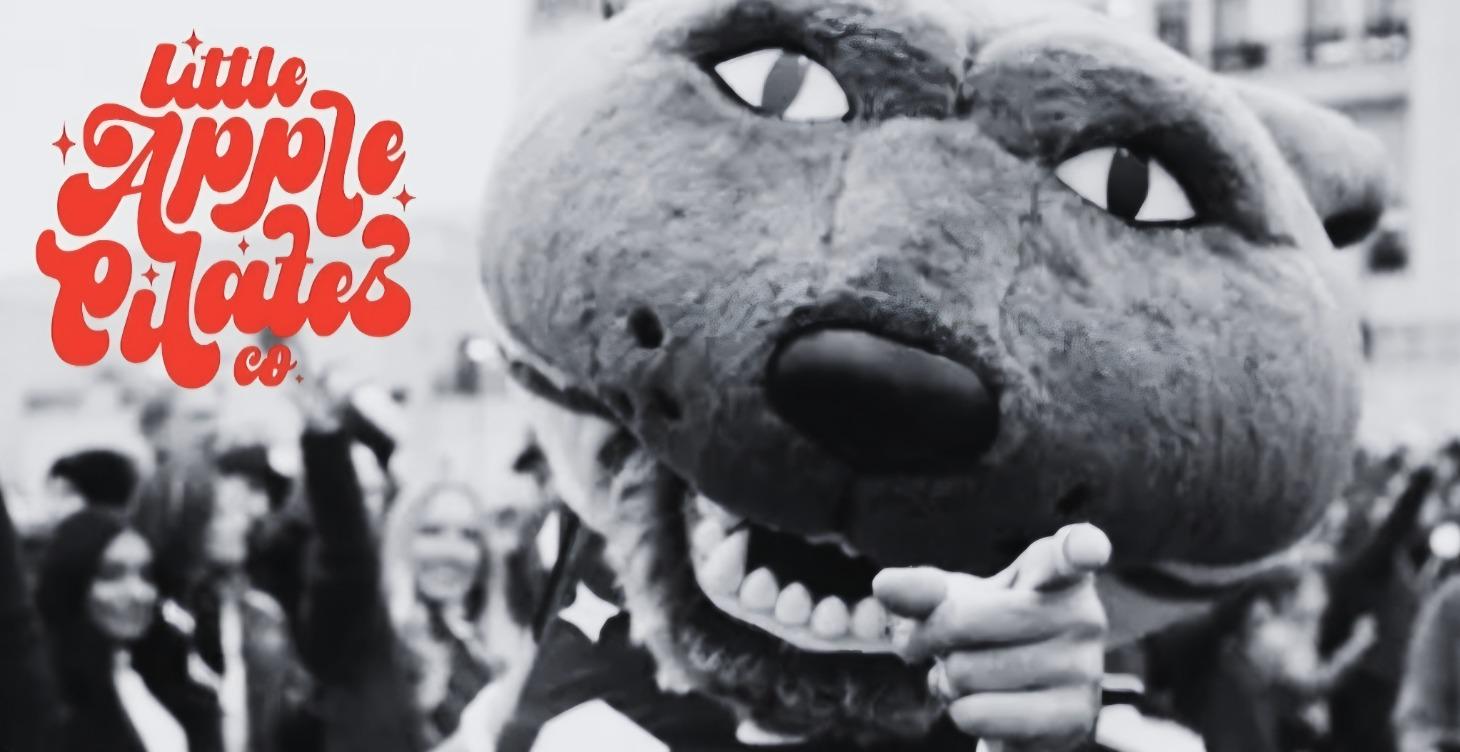 KSU Courses and More