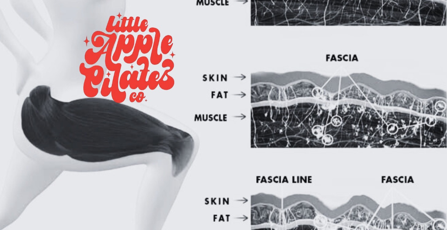 Fascia and Your Health