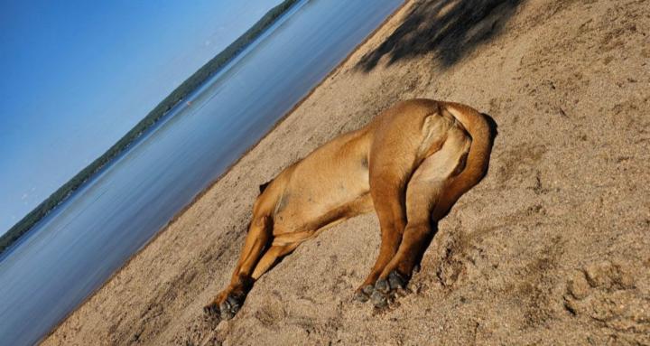 MONEY MIND/MONEY NERVES