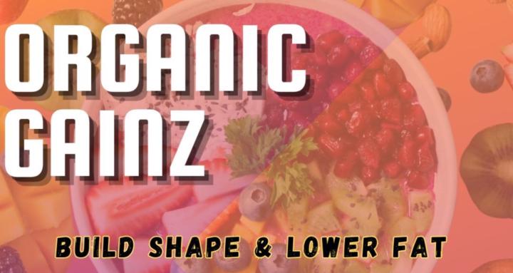 OG Maintenance Program