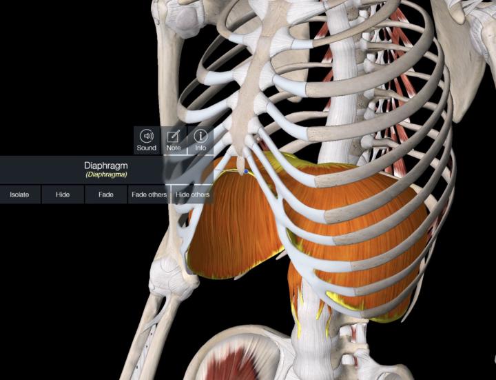 How your breathing could be secret to pain and performance