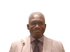 Adefolajimi Fawehinmi