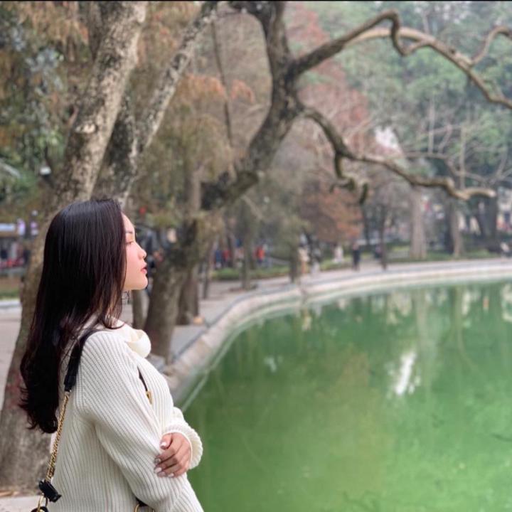 Trinh Trinh
