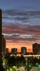 Andrés ignacio Tenorio