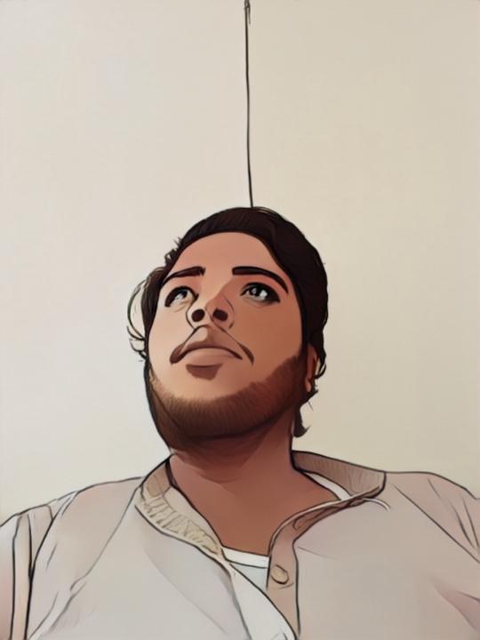 Basir ul Hassan