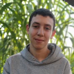 Mohamed Azaroual