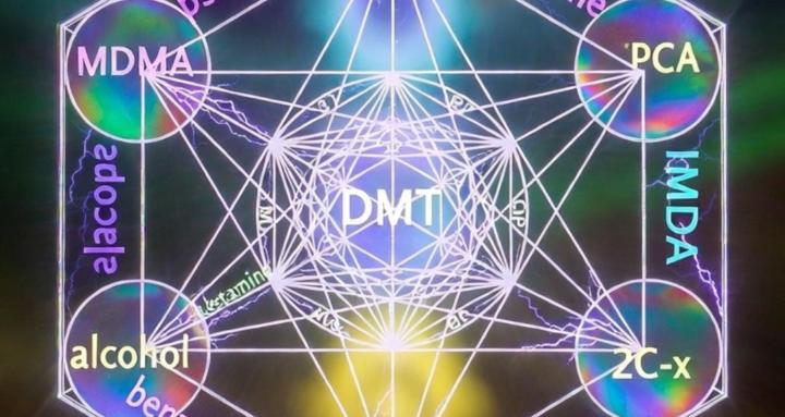 EuphoriaAmplificationColective