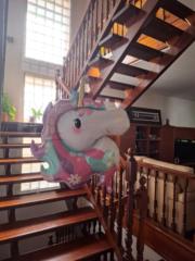 Saioa Jimenez Berastegui