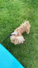 Juan Manuel Gutierrez Cruz