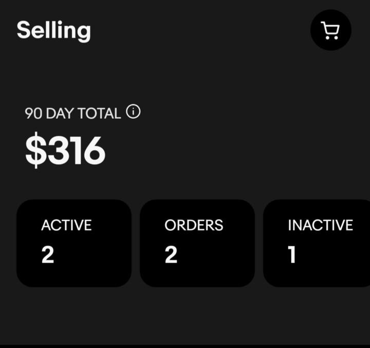 🏆💵First 2 weeks on eBay: $316 in sales.
