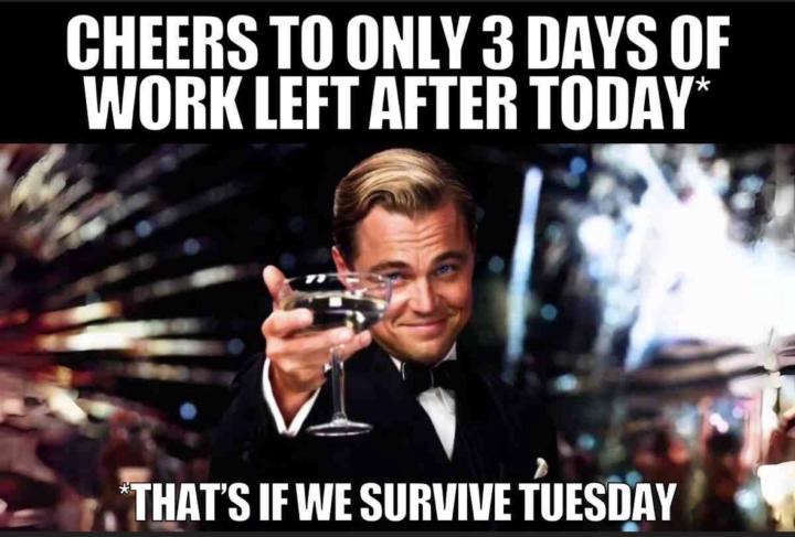 Tuesday Timing ⏳