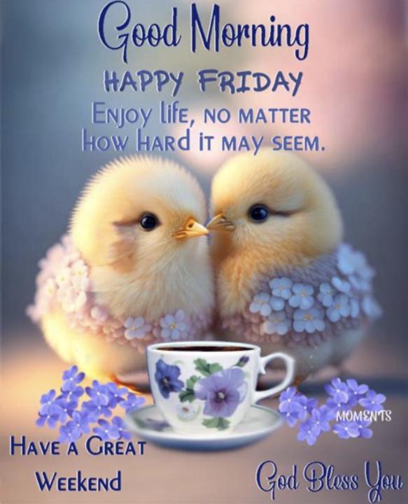 Two Little Chickens, One Big Reminder 🐥