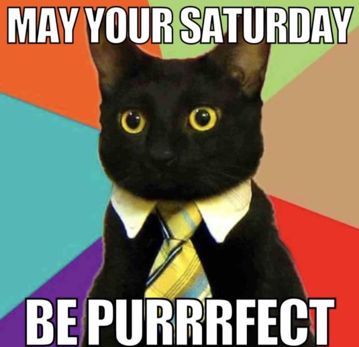 Purrrfect day💪👏