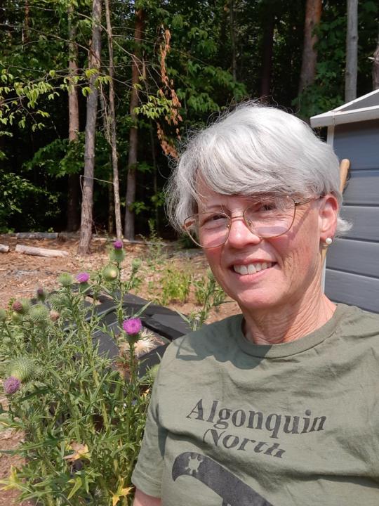 Sheila Nollert