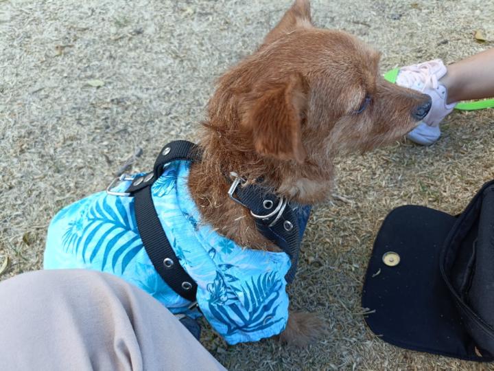 Carlos Jair Avendaño Santos