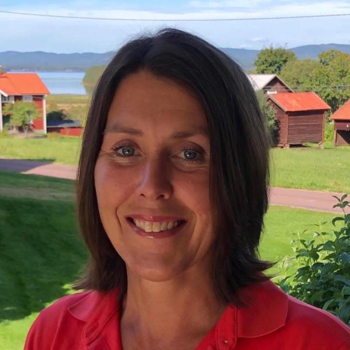 Ann-Marie Hansson