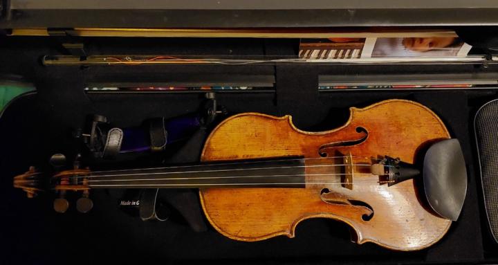Edouard Alexandre Wood Violin