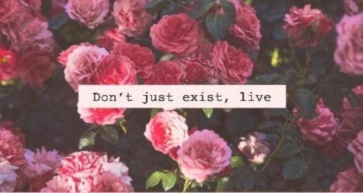 The Clean Slate Collective