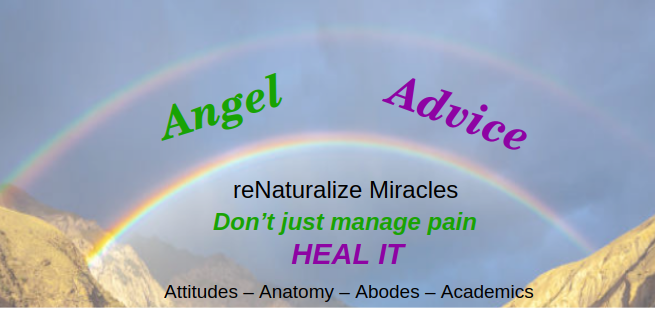 Angel Advice