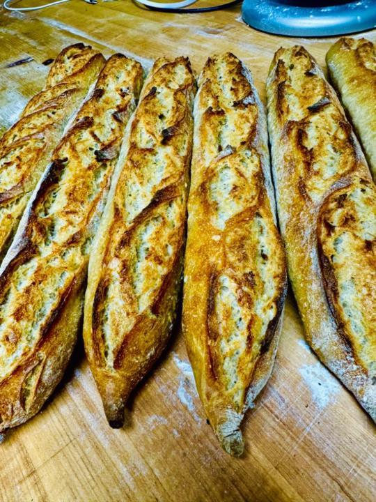 Olive Tree Olympia Keren