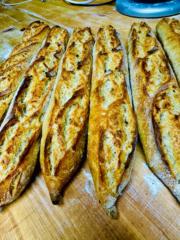 Olive Tree Olympia Keren