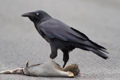 Alejandro Gómez Martínez