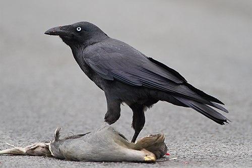 Alejandro Gómez Martínez