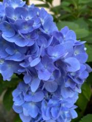 Nurhumaira Nazarudin