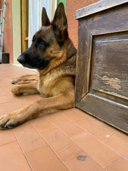 Caterina Pieraccioni