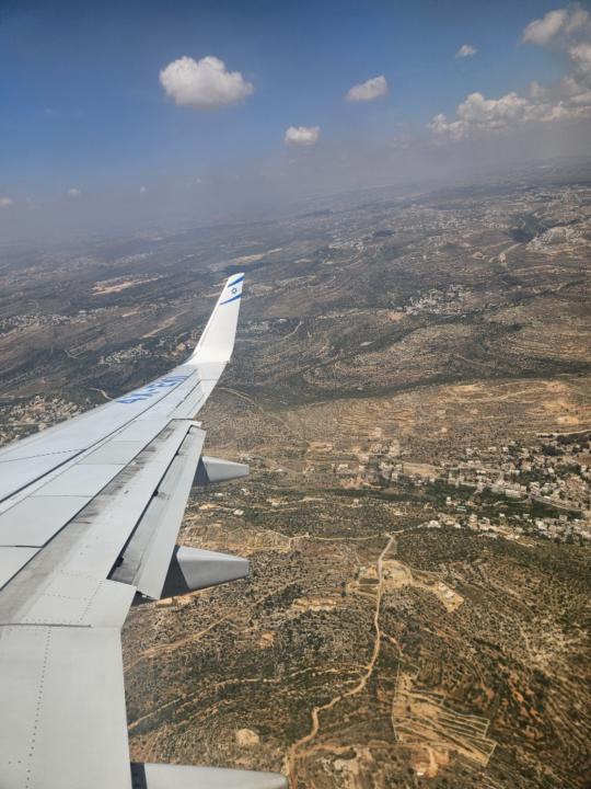 עמית טויטו