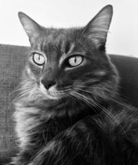 Barbara Mercadal carreras