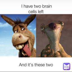 Kelsey Wesley-Harvey