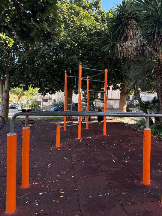 Mario Attilio Parisi