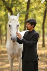 Game over trump Over