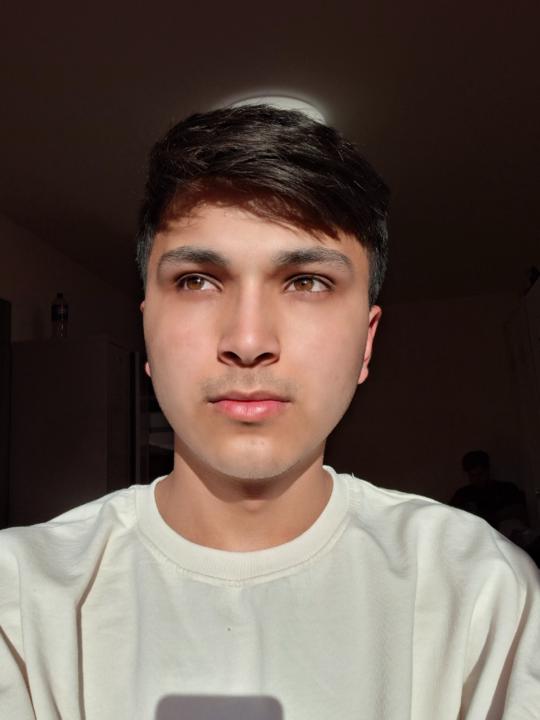 Mustafa Alizai