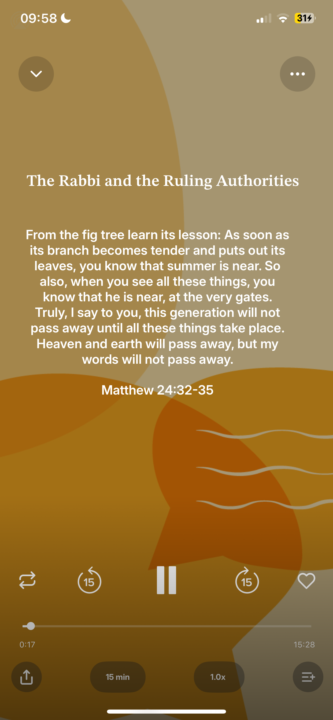 Hold steadfast to the Words of Jesus Christ...