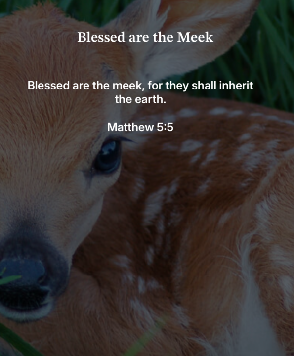 Spiritually "meek" - Are you?