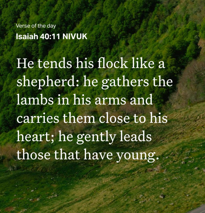 The Loving Shepherd...
