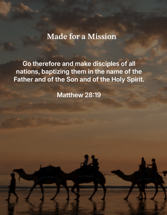 Your mission ...should you choose to accept it...