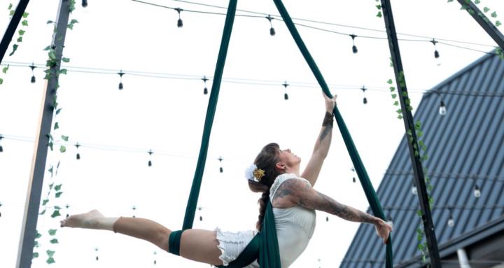 Aerial Silks Skills