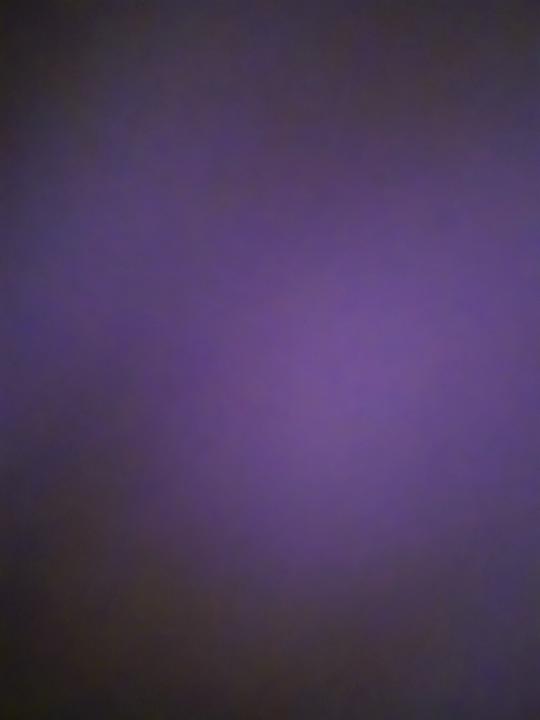 יובל פיסחוב