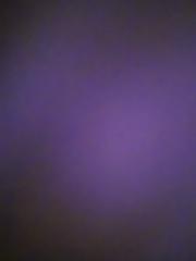 יובל פיסחוב